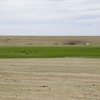 Letošní léto je v některých částech Mongolska zatím extrémně suché.